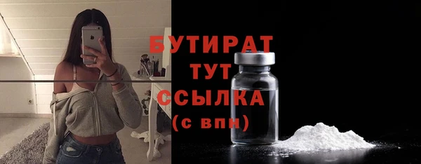 mdpv Бородино