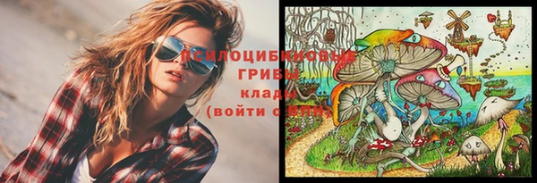 PSILOCYBIN Бугульма