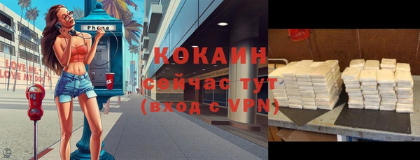 mdpv Бородино