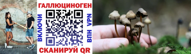 даркнет сайт  Кировград  mega ТОР  Псилоцибиновые грибы MAGIC MUSHROOMS 